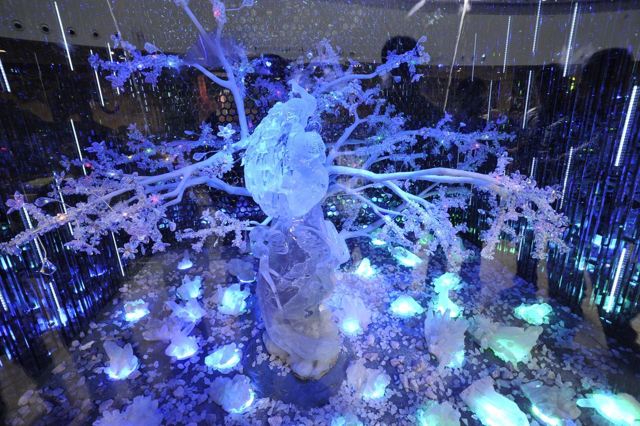 Howard Johnson Flower City Hotel Kunming Esterno foto