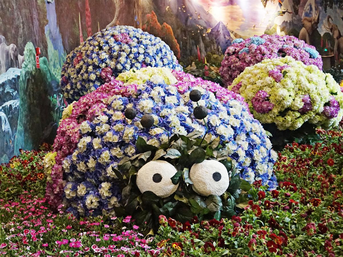 Howard Johnson Flower City Hotel Kunming Esterno foto